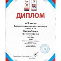 Наши достижения в чир-спорте!