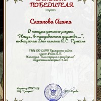 достижения
